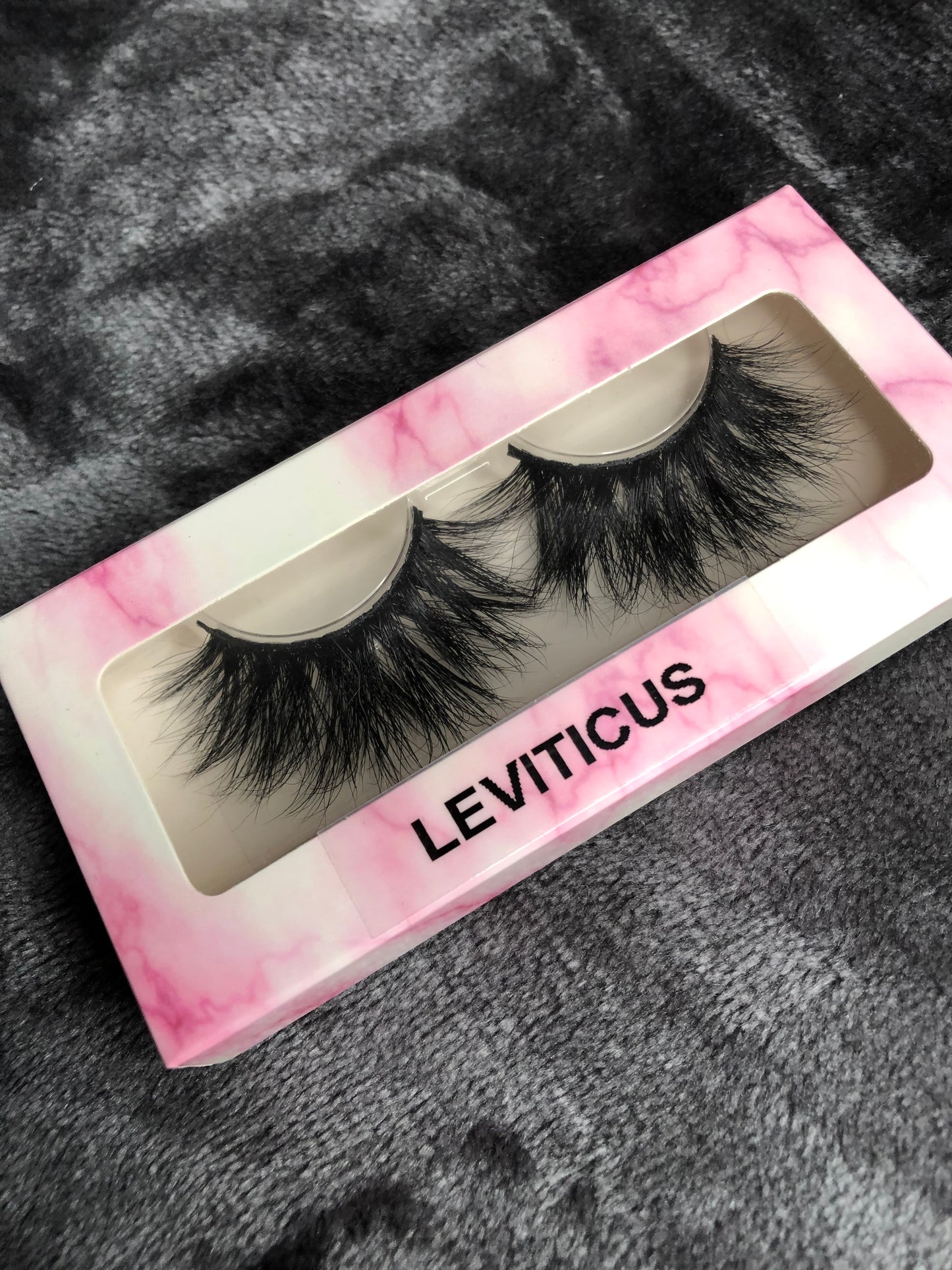 LEVITICUS